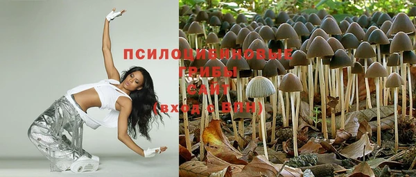 spice Алексин